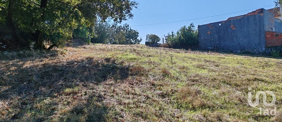 Land in Ansião of 3,460 m²