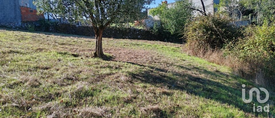 Land in Ansião of 3,460 m²