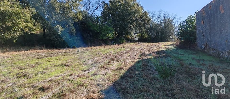 Land in Ansião of 3,460 m²