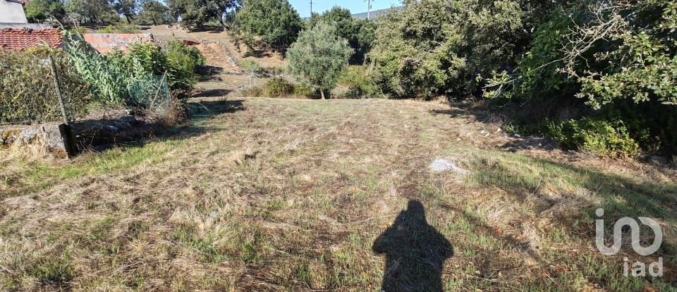 Land in Ansião of 3,460 m²