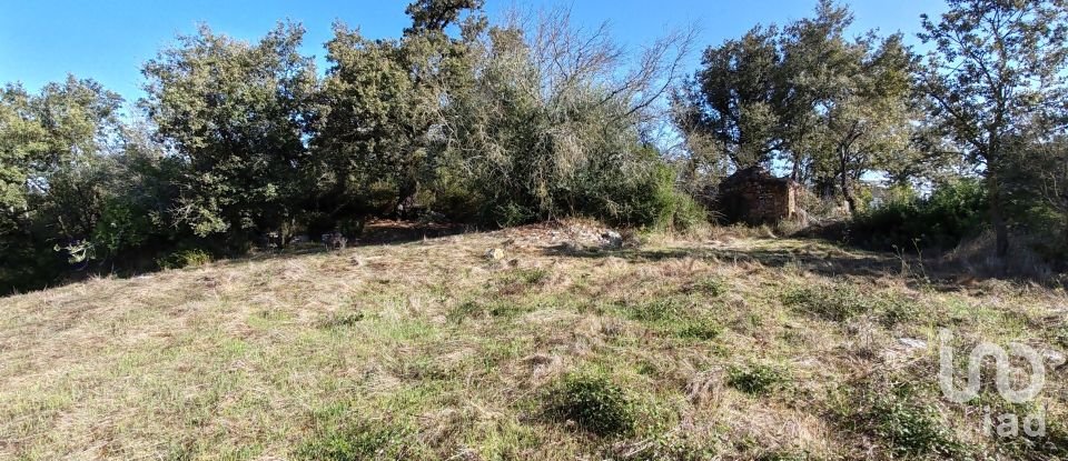 Land in Ansião of 3,460 m²