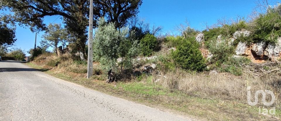 Land in Ansião of 3,460 m²