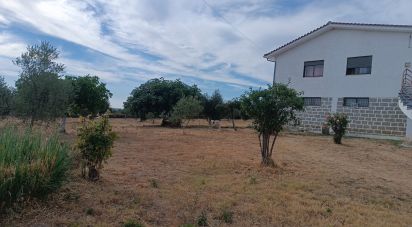 Maison T4 à Vimioso de 252 m²