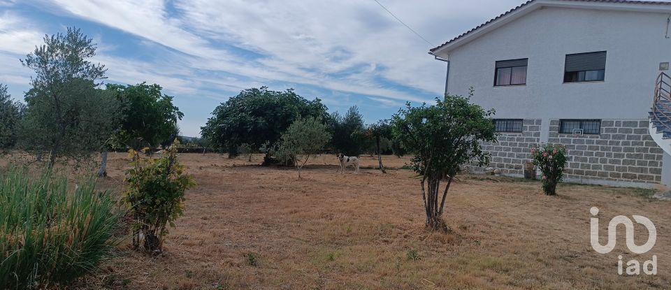 House T4 in Vimioso of 252 m²