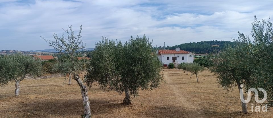 House T4 in Vimioso of 252 m²