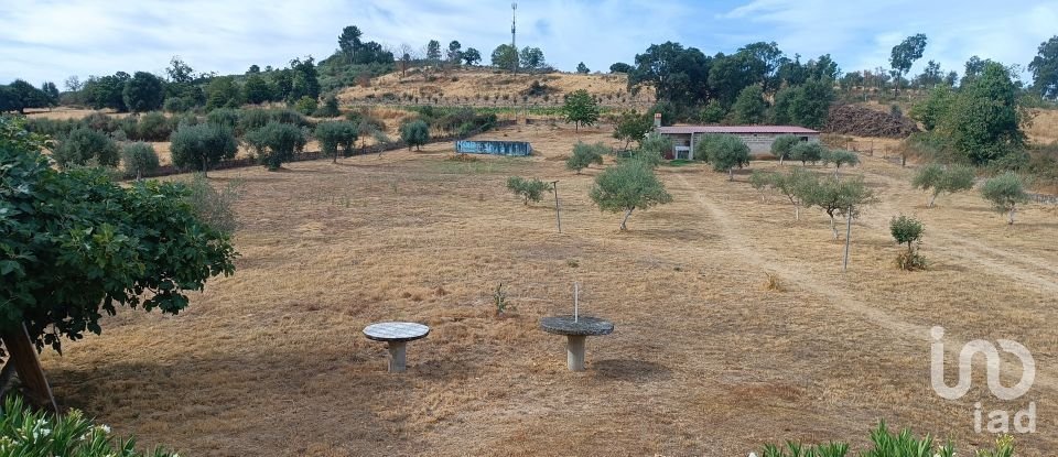 House T4 in Vimioso of 252 m²