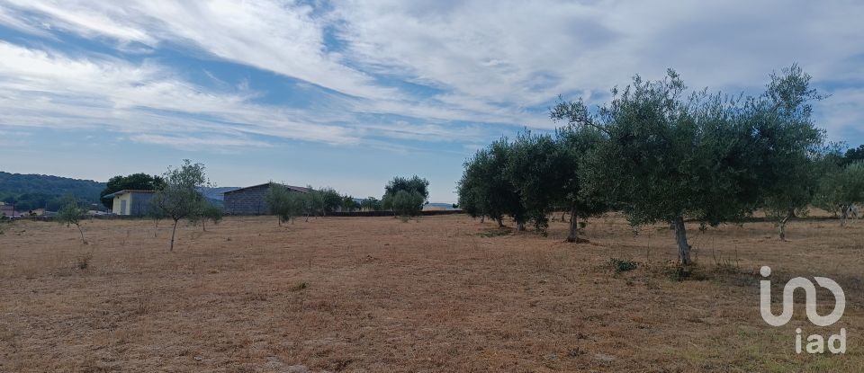 House T4 in Vimioso of 252 m²