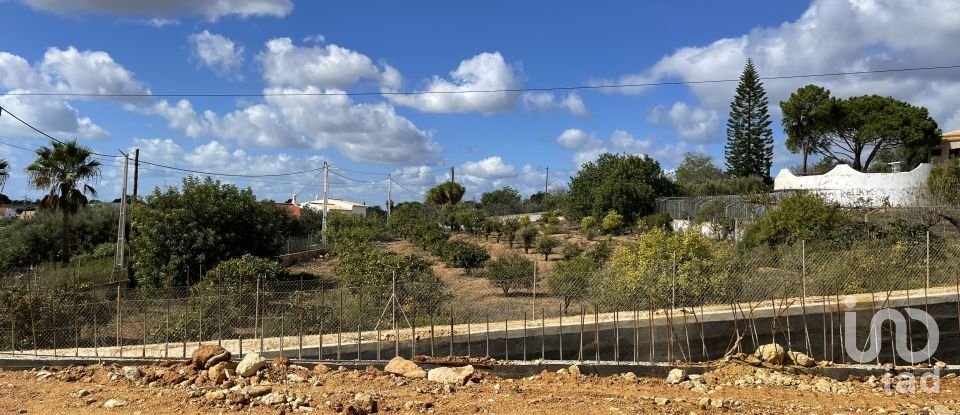 Moradia T3 em Alcantarilha e Pêra de 832 m²