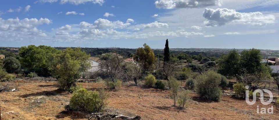 Moradia T3 em Alcantarilha e Pêra de 832 m²