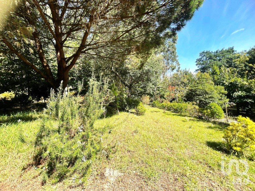 Building plot in Durrães E Tregosa of 1,226 m²