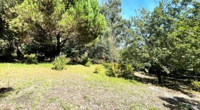 Terrain à bâtir à Durrães E Tregosa de 1 226 m²