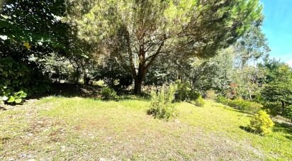 Terrain à bâtir à Durrães E Tregosa de 1 226 m²