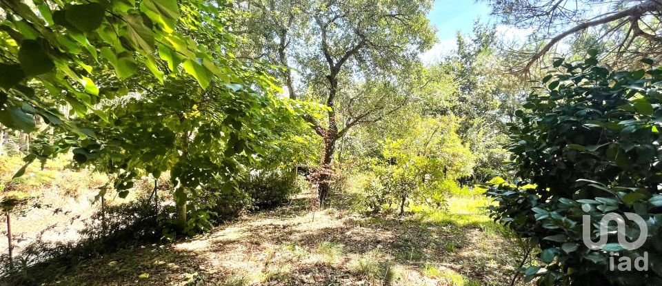 Building plot in Durrães E Tregosa of 1,226 m²