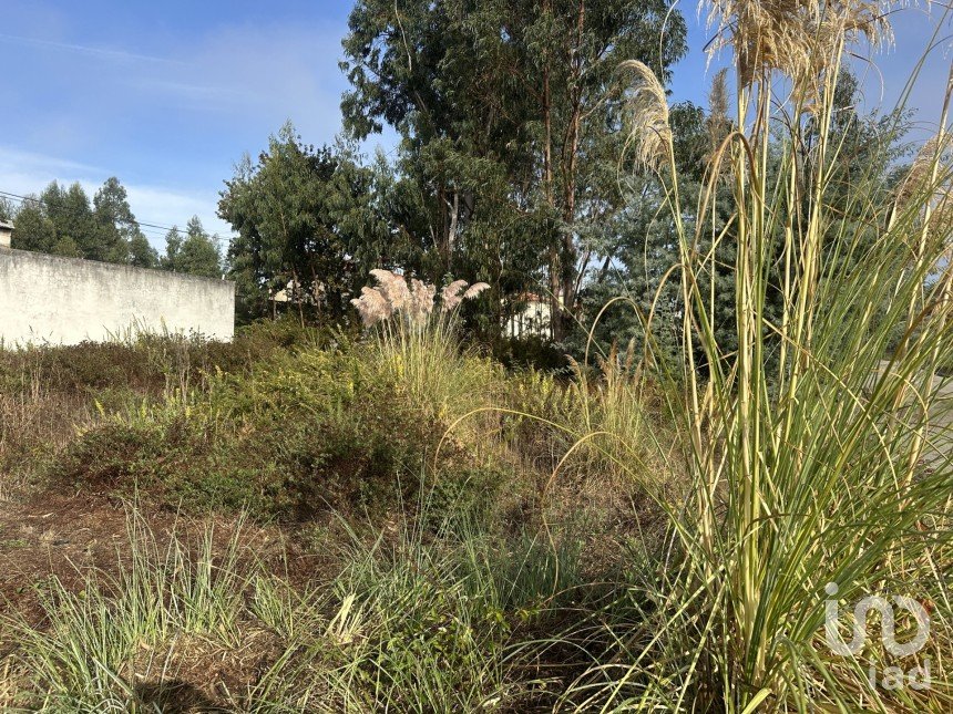 Terrain à Requeixo, Nossa Senhora de Fátima e Nariz de 414 m²