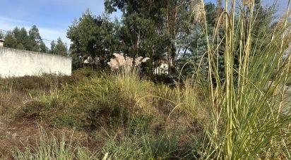 Terrain à Requeixo, Nossa Senhora de Fátima e Nariz de 414 m²