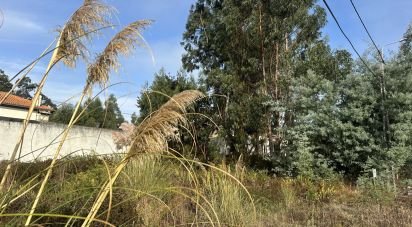 Terrain à Requeixo, Nossa Senhora de Fátima e Nariz de 414 m²