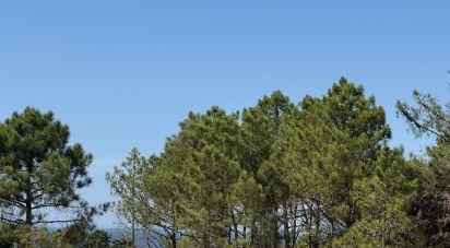 Maison T3 à Sesimbra (Castelo) de 222 m²