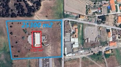 Terrain à Samora Correia de 25 300 m²