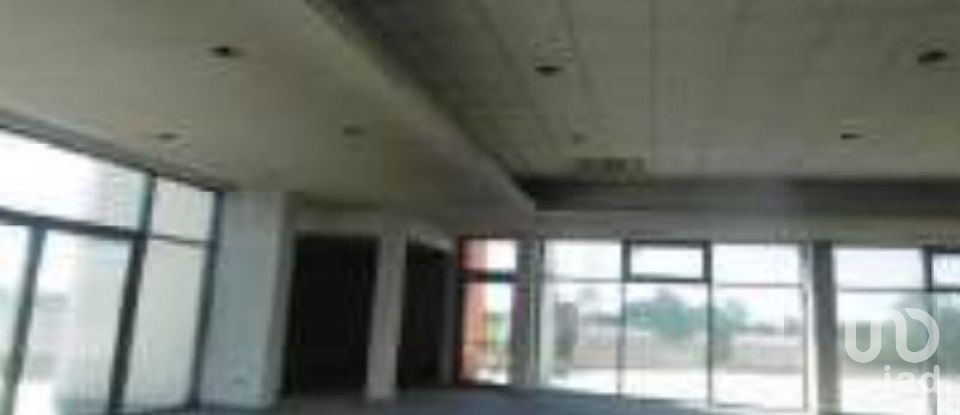 Terrain à Samora Correia de 25 300 m²