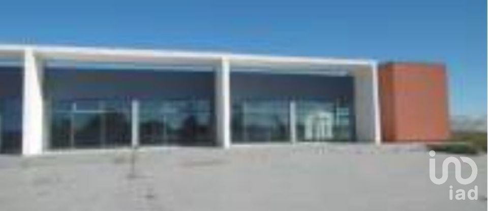 Terrain à Samora Correia de 25 300 m²