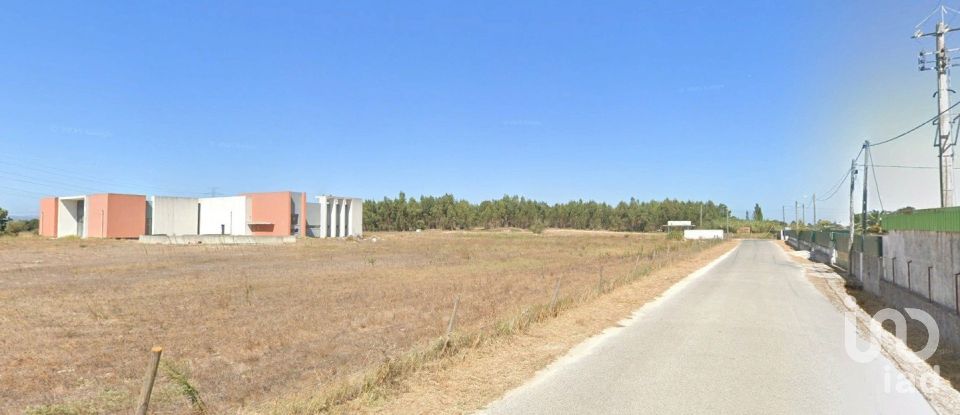 Terrain à Samora Correia de 25 300 m²