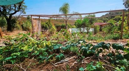 Terrain à Barão de São Miguel de 10 960 m²