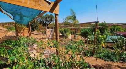 Terrain à Barão de São Miguel de 10 960 m²