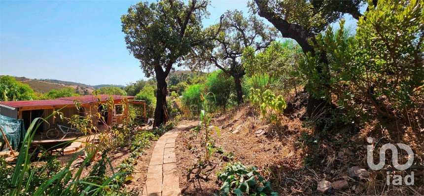 Terreno em Barão de São Miguel de 10 960 m²