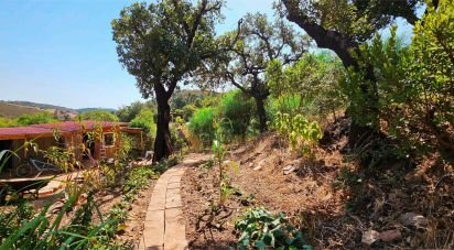 Terrain à Barão de São Miguel de 10 960 m²