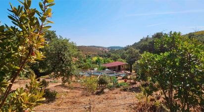 Terrain à Barão de São Miguel de 10 960 m²