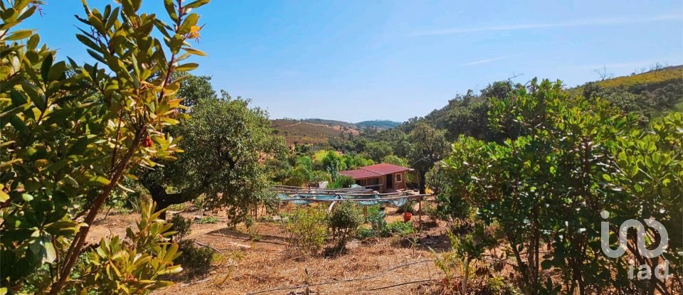 Terreno em Barão de São Miguel de 10 960 m²