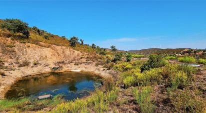 Terrain à Barão de São Miguel de 10 960 m²