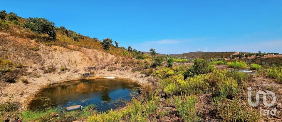Terreno em Barão de São Miguel de 10 960 m²