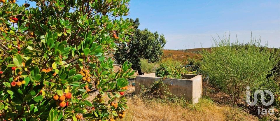 Terreno em Barão de São Miguel de 10 960 m²