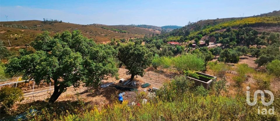 Terreno em Barão de São Miguel de 10 960 m²