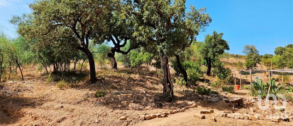 Terreno em Barão de São Miguel de 10 960 m²