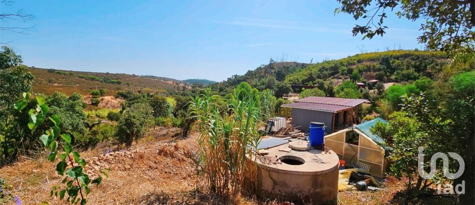 Terreno em Barão de São Miguel de 10 960 m²