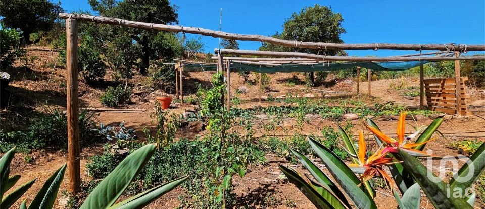 Terreno em Barão de São Miguel de 10 960 m²