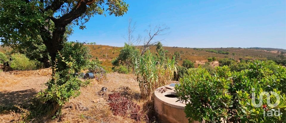 Terreno em Barão de São Miguel de 10 960 m²