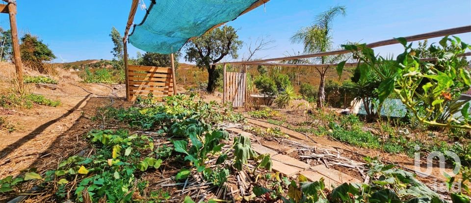 Terreno em Barão de São Miguel de 10 960 m²