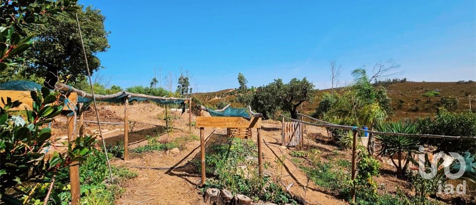 Terreno em Barão de São Miguel de 10 960 m²