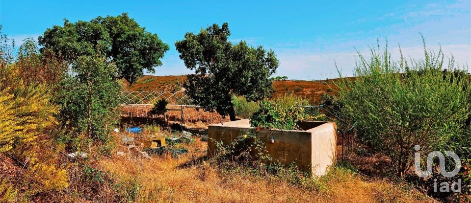 Terreno em Barão de São Miguel de 10 960 m²
