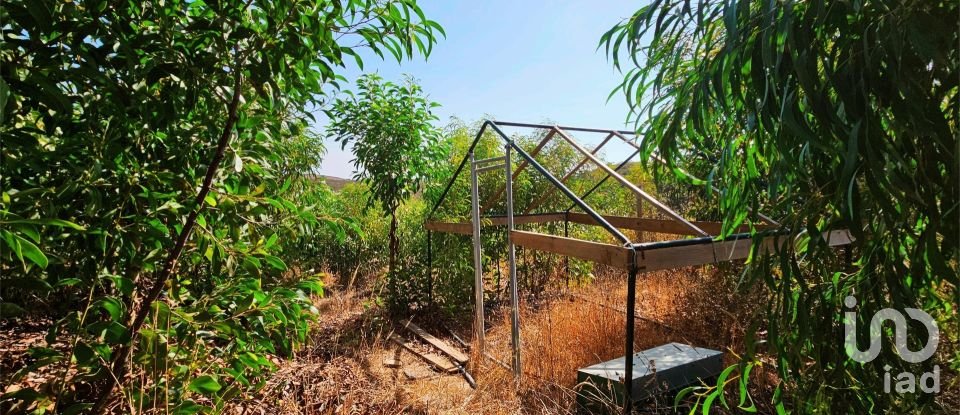 Terreno em Barão de São Miguel de 10 960 m²