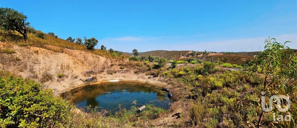 Terreno em Barão de São Miguel de 10 960 m²