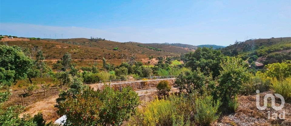 Terreno em Barão de São Miguel de 10 960 m²