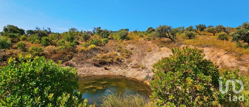 Terreno em Barão de São Miguel de 10 960 m²