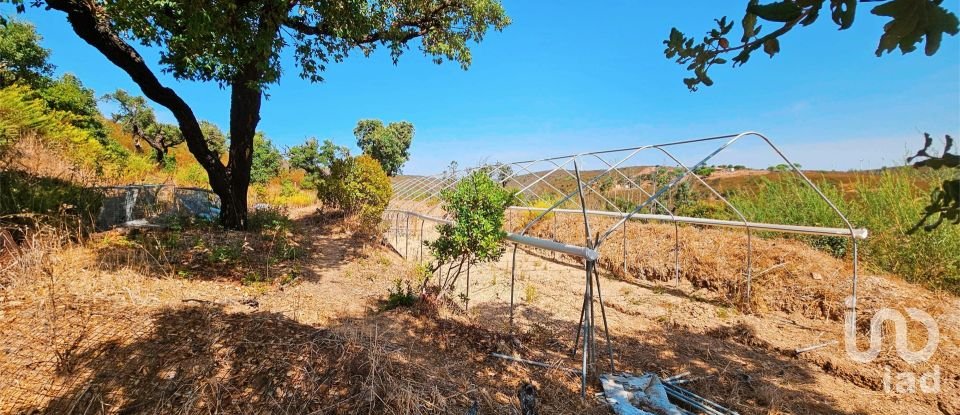 Terreno em Barão de São Miguel de 10 960 m²