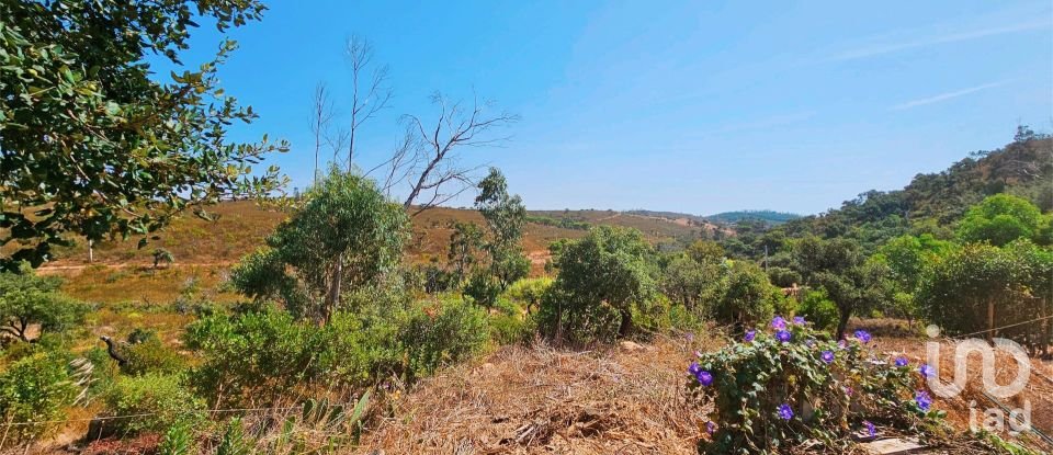 Terreno em Barão de São Miguel de 10 960 m²