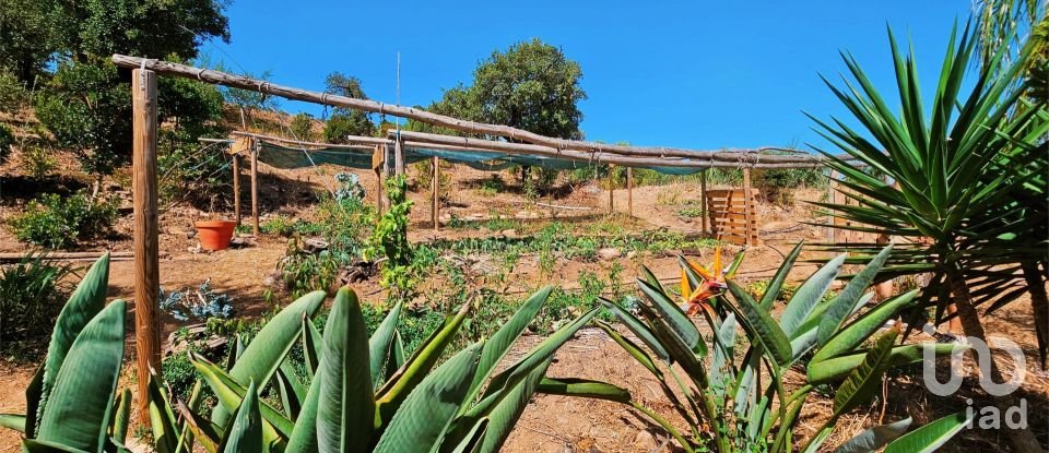 Terreno em Barão de São Miguel de 10 960 m²