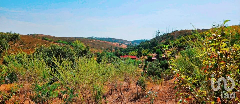 Terreno em Barão de São Miguel de 10 960 m²